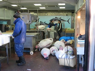 平然と並ぶ巨大な魚たち