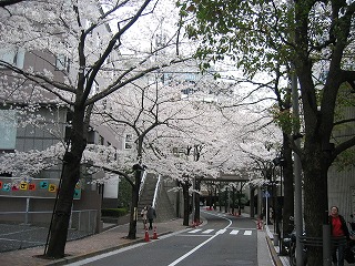 小さな橋が見えてきました