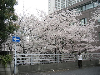 写真撮影をしない人がいないくらいの雰囲気で