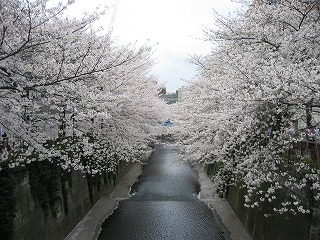 自然のつむぎだす芸術作品