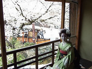 舞妓さんもいらっしゃいました。はかなさと同時に本質の美しさも感じさせます・・・