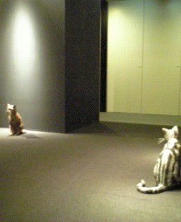会場のエレベーターホール前にて。癒されます・・・（作り物の猫ですよ、念のため）