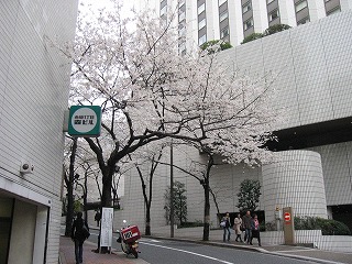 桜坂の入口
