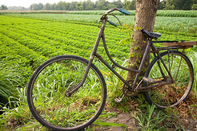 ジャワ語　ジャワ島 自転車