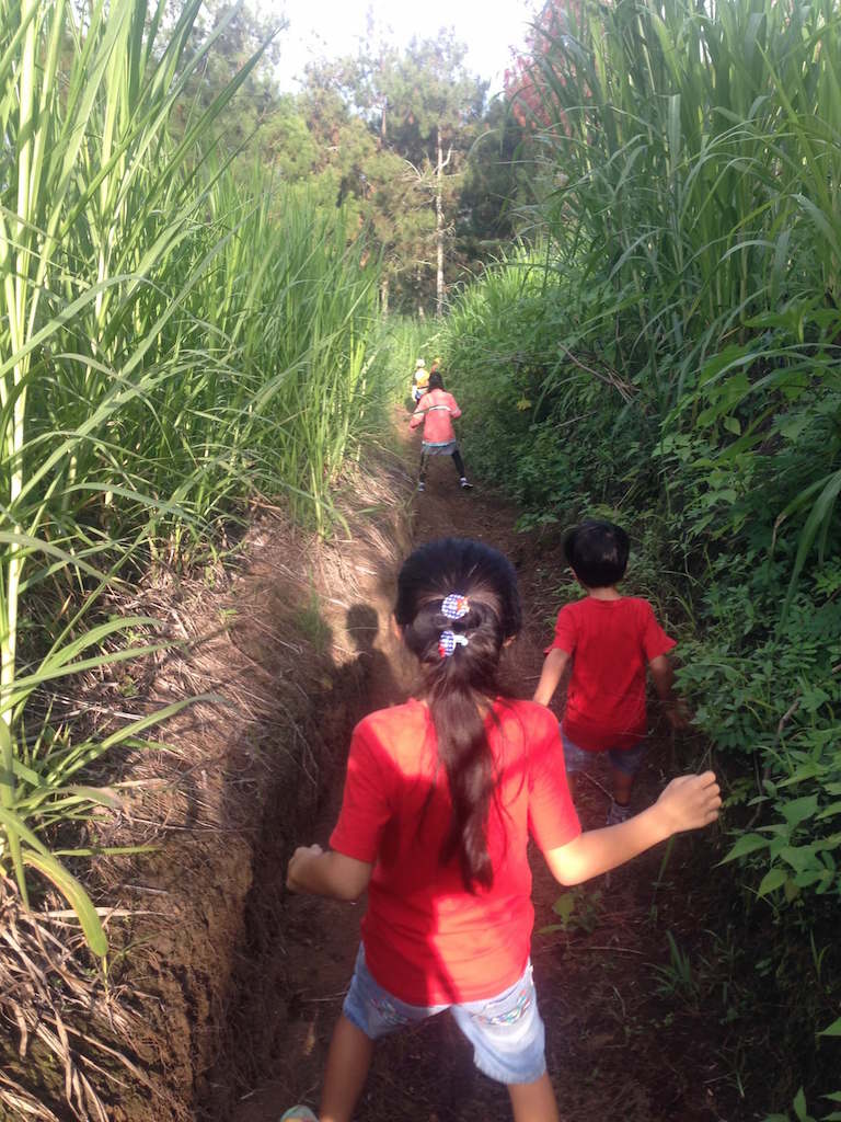 東ジャワの「パンデルマンの丘」で子連れトレイルラン＆ウォーキング