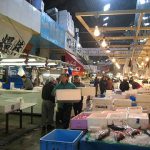 東京ウォーキング｜築地市場を歩いてみよう！場外から場内へ