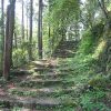 熊野古道（中辺路エリア）６０キロウォーキングから１年が経過して