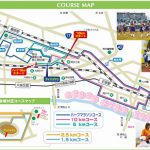 桜のもとでハーフマラソン（第18回熊谷さくらマラソン）（１）