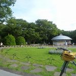 駒沢オリンピック公園で「朝からビールを飲んで日本の朝を元気にする会」！