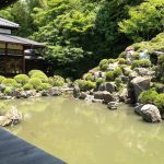 長谷川等伯の障壁画（国宝）を智積院で鑑賞！これはすごい！