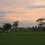 ブログ写真の見せ方で反応up｜画像サイズ拡大の効果と簡単な加工方法！