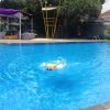 海外子育て｜いつでも子供とプールで泳げるインドネシア生活の幸せ！